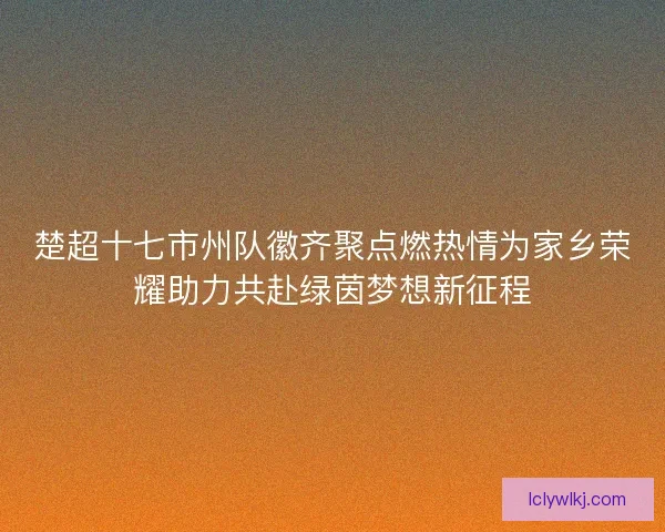 楚超十七市州队徽齐聚点燃热情为家乡荣耀助力共赴绿茵梦想新征程