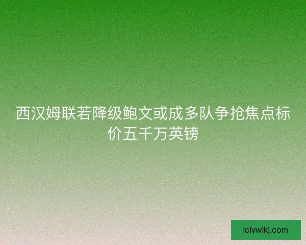 西汉姆联若降级鲍文或成多队争抢焦点标价五千万英镑
