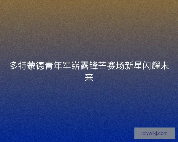 多特蒙德青年军崭露锋芒赛场新星闪耀未来